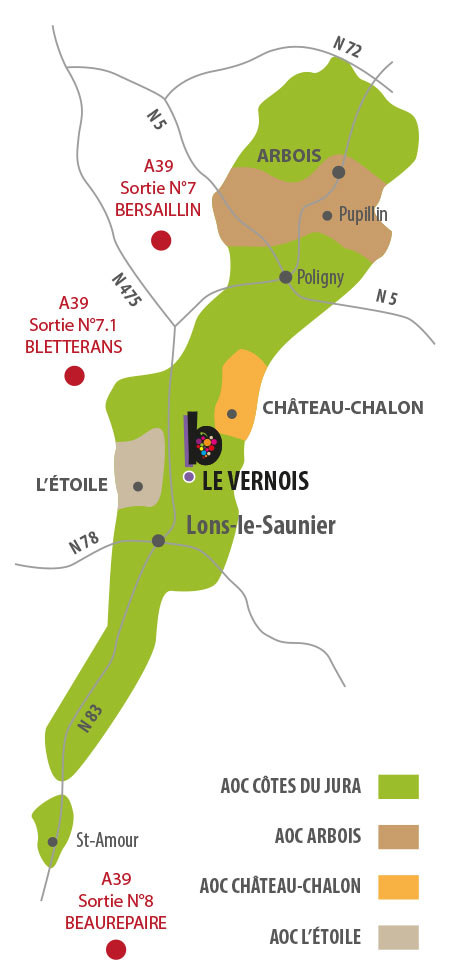 Caveau des Byards - carte vigne