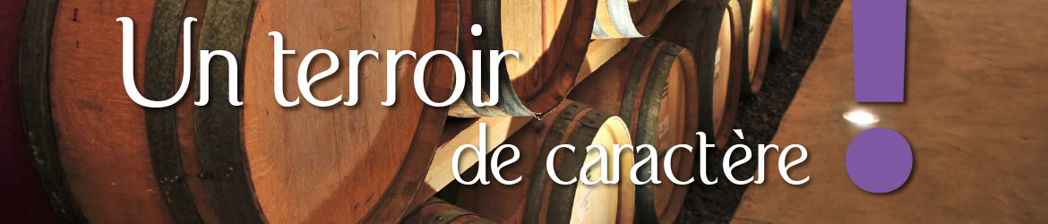 Caveau des Byards - incontournable vins du Jura